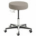 Brewer 11001-D Stool