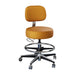 Brewer Century Series 11001 Pneumatic Exam Stool