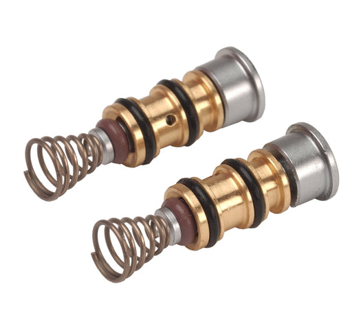 Beaverstate Syringe Repair Kit — 113-403