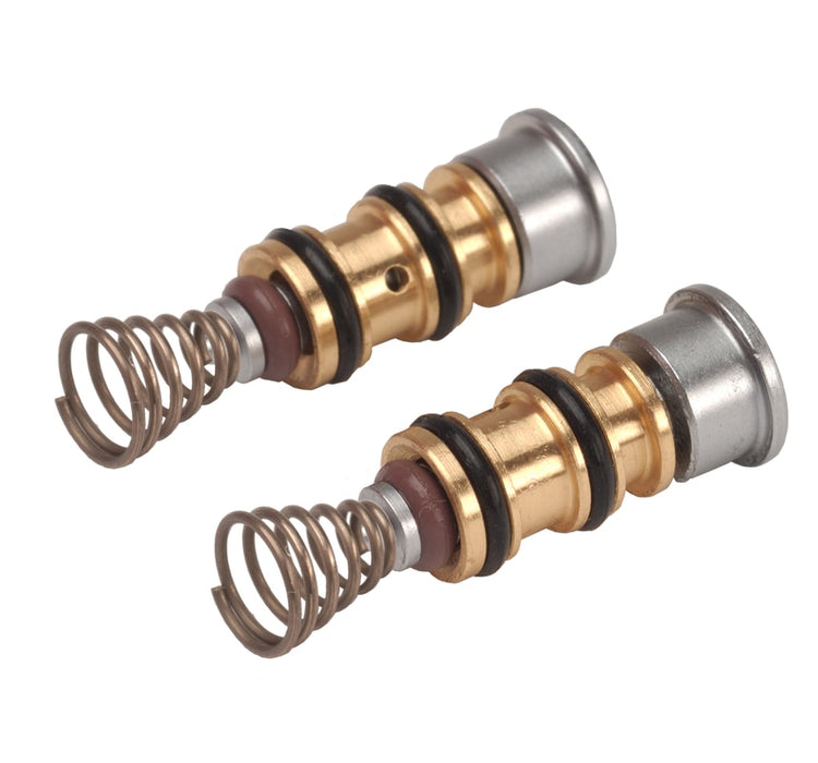 Beaverstate Syringe Repair Kit — 113-403
