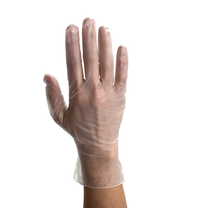Dynarex Vinyl Gloves in a Bag, Powder-Free
