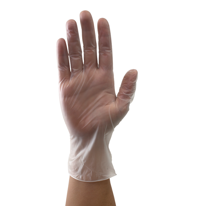 Dynarex Vinyl Gloves in a Bag, Powder-Free
