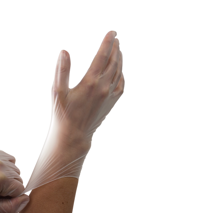 Dynarex Vinyl Gloves in a Bag, Powder-Free