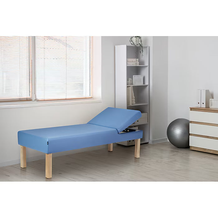 Viva Comfort Lucas Therapy Treatment Recovery Couch with Adjustable Backrest, Blue (ADI996-11-BLU-MK)