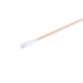 Dynarex LabChoice Transport Swabs