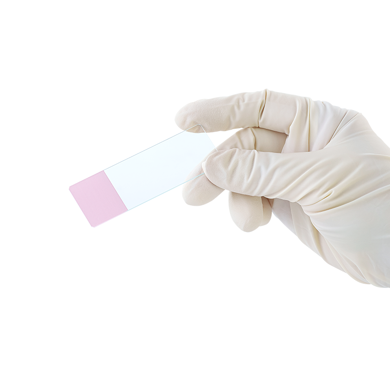Dynarex LabChoice Microscope Slides