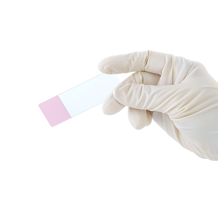 Dynarex LabChoice Microscope Slides