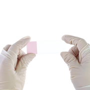 Dynarex LabChoice Microscope Slides