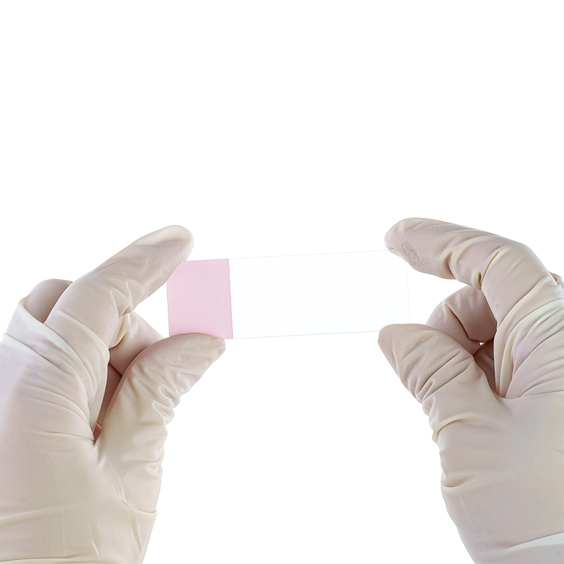 Dynarex LabChoice Microscope Slides
