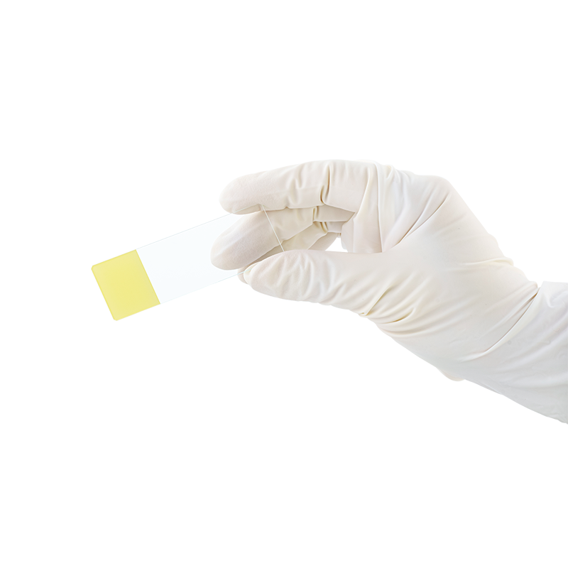 Dynarex LabChoice Microscope Slides