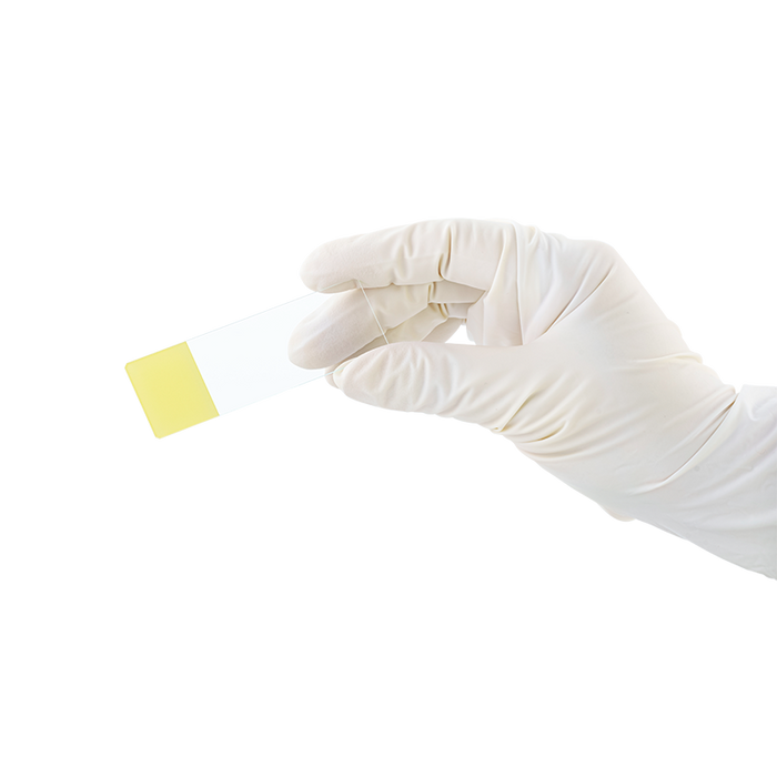 Dynarex LabChoice Microscope Slides