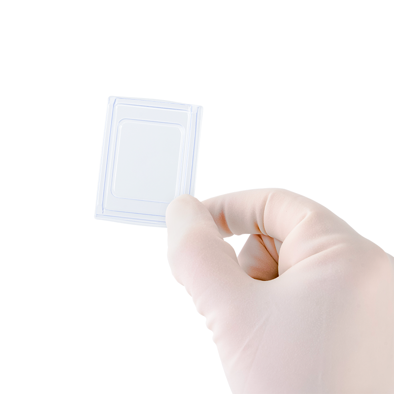 Dynarex LabChoice Disposable Base Molds
