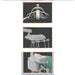 Beaverstate Sierra Operatory System Sierra Operatory System beaverstate-sierra-operatory-system-dentamed-usa DENTAMED USA Beaverstate