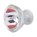 DCI Curing Light Bulb 12 VAC 100W