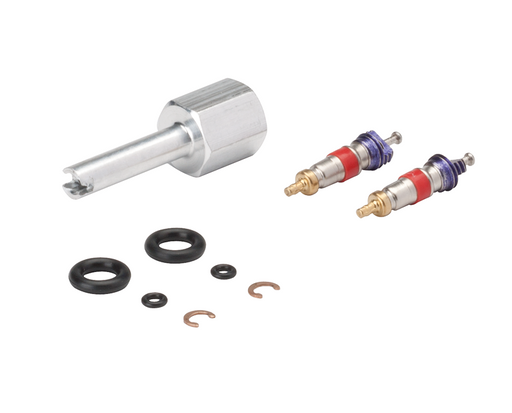 DCI Syringe Repair Kit, Valve Core