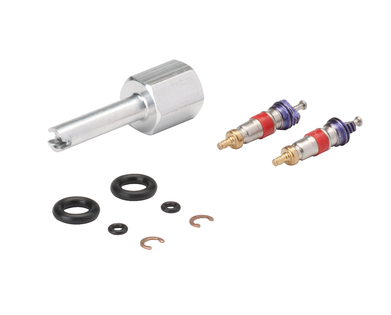 DCI Syringe Repair Kit, Valve Core