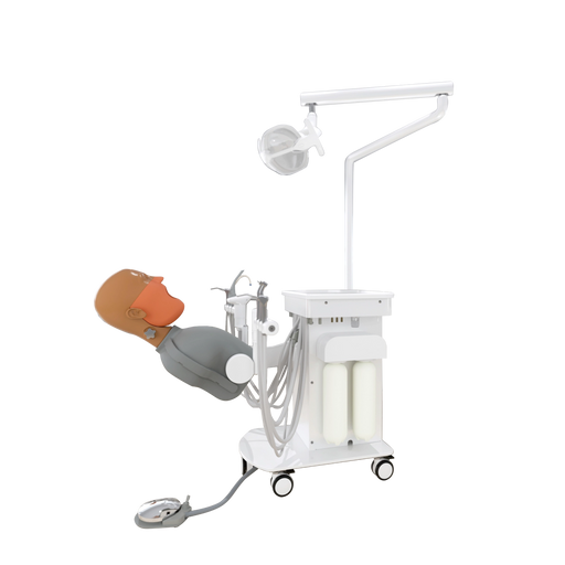 ADS Dental Simulation System