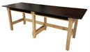 PHS Chiropractic Classroom/Lab Treatment Table