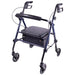 Drive Medical Carex Step 'N Rest Rolling Walker — FGA22300 0000