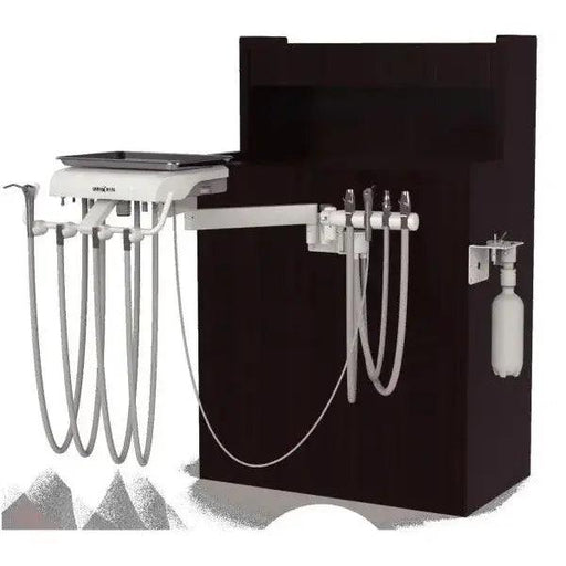 ADS Rear Dou Swing Delivery System A0502525 - DENTAMED USA