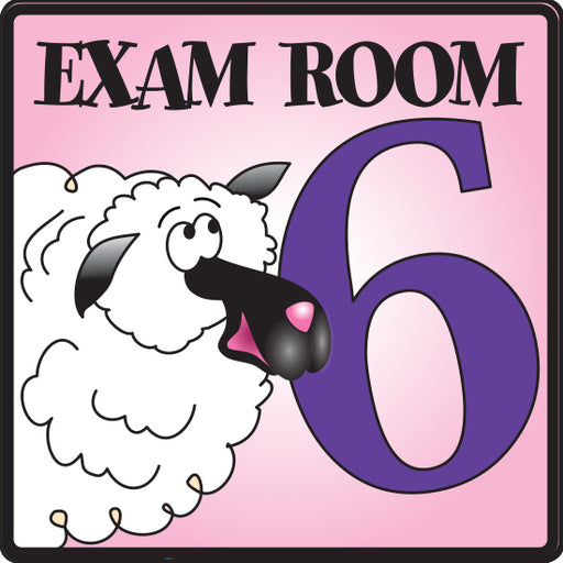 Clinton Exam Room 6 Sign – EX6