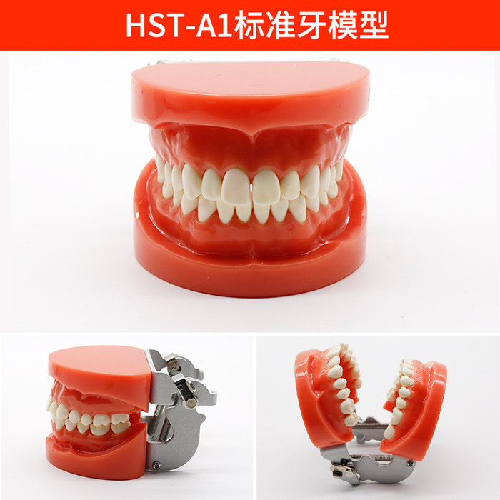 Dentamed USA TJ-A1 – Dental Lab Products & Simulation System – image 1
