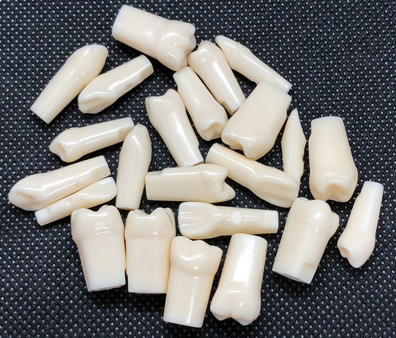 Dentamed USA TJ-Teeth32 – Dental Lab Products & Simulation System – image 1