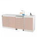 Dentamed USA TJ-XY08 – Dental Cabinets – image 1