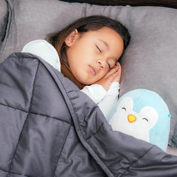 Drive Medical Bed Buddy Weighted Blanket, Adult Size — BBF1017-01