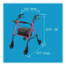 Drive Medical Carex Step 'N Rest Aluminum Rollator, Black — FGA62200 0000