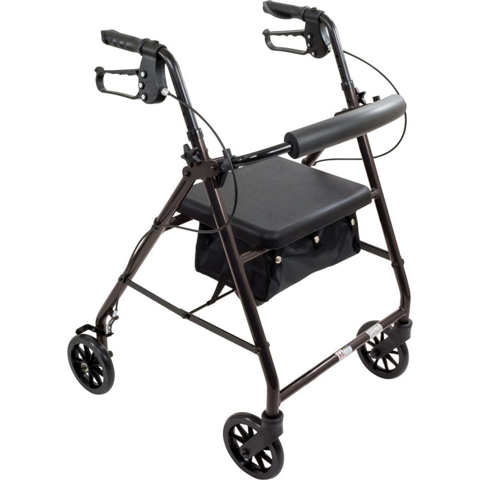 Drive Medical ProBasics Aluminum Rollator with 6-inch Wheels, Black, — RLA6BK