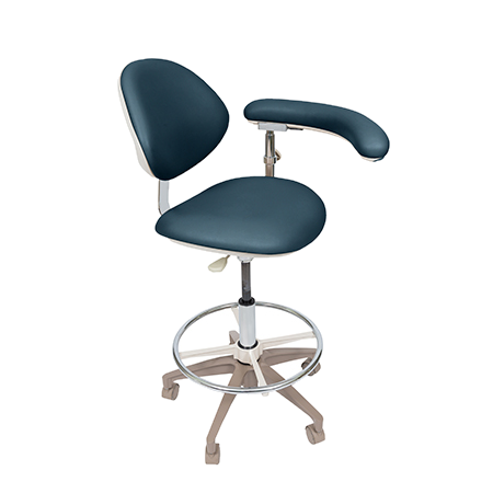 Deluxe Assistant Stool