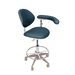Deluxe Assistant Stool
