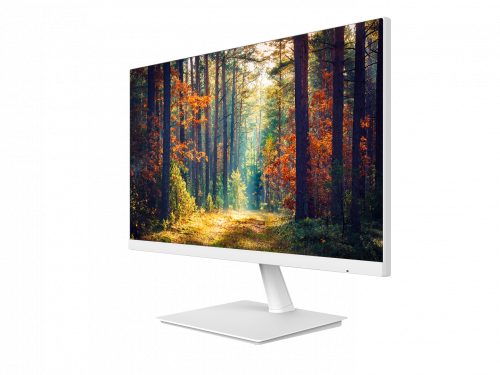 Flight Dental Planar PXN2480MW 24 Inch White Monitor — manufacturer photograph