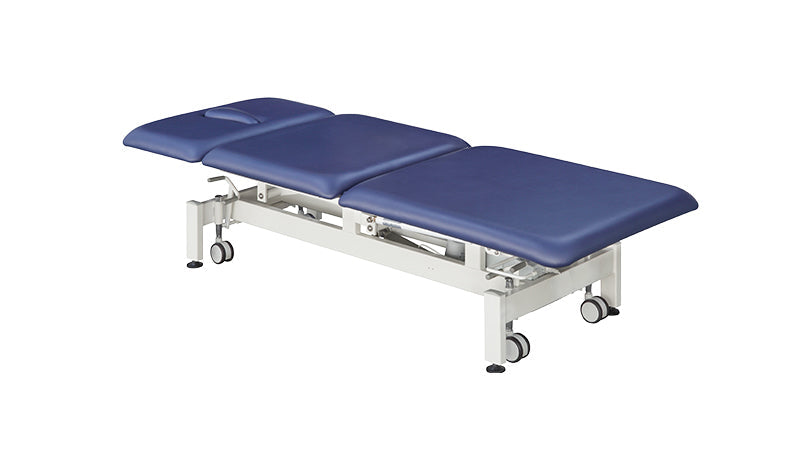 Everyway4all EU25 "TRISTAR" 3 Section Therapeutic Table (No Drop Foot  / 1 Motor)  with 4-side Elevating Bars
